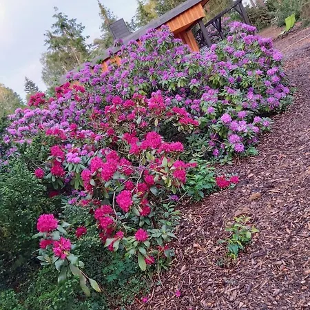 בית נופש Leon Mit Sauna *