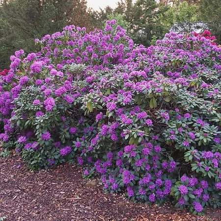 Leon Mit Sauna Rehburg-Loccum