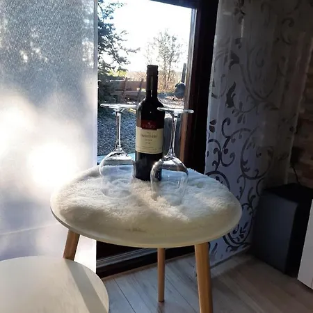 Leon Mit Sauna Vakantiehuis