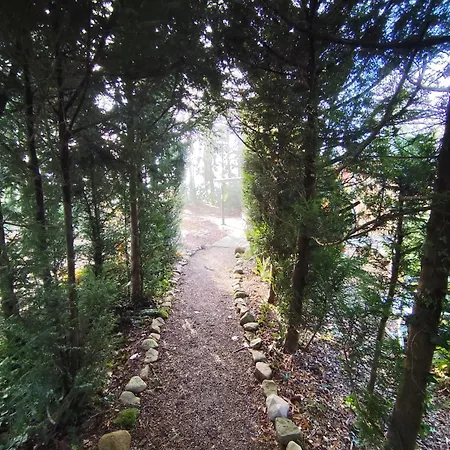 Leon Mit Sauna Ferienhaus Rehburg-Loccum
