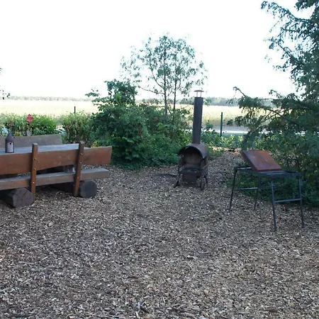 Ferienhaus Leon Mit Sauna Rehburg-Loccum