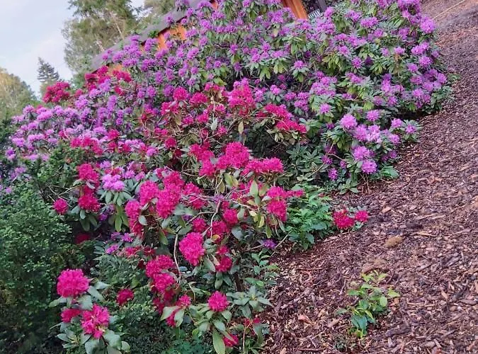 Сasa de vacaciones Leon Mit Sauna *