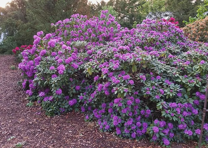 Leon Mit Sauna Rehburg-Loccum