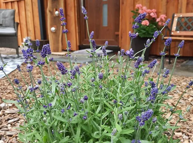 Leon Mit Sauna Сasa de vacaciones *